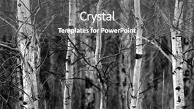  Presentation with forrest - Amazing slide set having trees in the forrest backdrop and a gray colored foreground