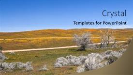  Presentation with california - Slide deck featuring trees-in-the-middle background and a light blue colored foreground