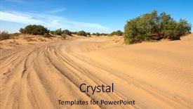  Presentation with landscape desert - Colorful slides enhanced with trees in the sahara desert backdrop and a coral colored foreground