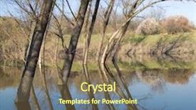  Presentation with trees - Slide set consisting of trees-in-the-water background and a coral colored foreground