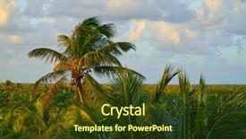  Presentation with maya - Slide deck with trees jungle in costa maya background and a tawny brown colored foreground