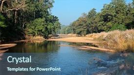  Presentation with river forest - Colorful presentation theme enhanced with trees kanha national park india backdrop and a ocean colored foreground