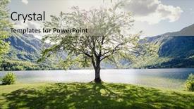  Presentation with tree - Amazing theme having green trees mountains - one tree backdrop and a soft green colored foreground
