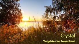  Presentation with summer trees - Beautiful presentation theme featuring  backdrop and a  colored foreground