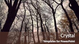  Presentation with trees forest lumber - Beautiful PPT theme featuring trees of an autumn forest backdrop and a tawny brown colored foreground
