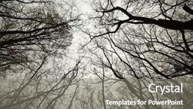  Presentation with creepy forest - Audience pleasing slide deck consisting of trees of an autumn forest backdrop and a gray colored foreground