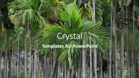  Presentation with plantation - Slides featuring trees-of-beatles-nut-plantation background and a tawny brown colored foreground