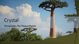  Presentation with land - Colorful presentation design enhanced with trees on a dry land backdrop and a light blue colored foreground