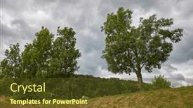  Presentation with summer trees - Presentation theme having trees-on-a-hill background and a tawny brown colored foreground