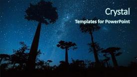  Presentation with meadow - Presentation featuring trees on a meadow madagascar background and a navy blue colored foreground