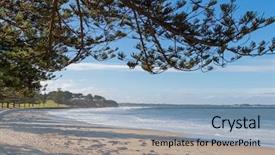  Presentation with pine trees - Cool new slides with trees on foreshore in victoria backdrop and a light blue colored foreground