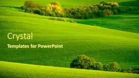  Presentation with green hills - Slide set consisting of trees on green wavy hills in south moravia csezh republic background and a tawny brown colored foreground