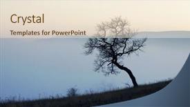  Presentation with misty - PPT theme consisting of trees on misty autumn sunset background and a lemonade colored foreground