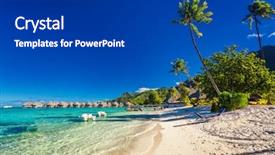  Presentation with palm beach - Slides having trees on moorea french polynesia background and a dark gray colored foreground