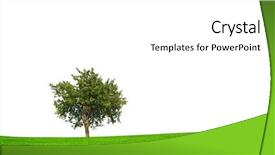  Presentation with eco - PPT layouts having trees orchard - eco season background and a white colored foreground