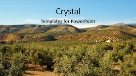  Presentation with olive orchard - Colorful slide deck enhanced with pump operation - repair of old parts automobile backdrop and a ocean colored foreground.