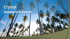  Presentation with palm - Beautiful slides featuring trees orchard - tropical island in the sun backdrop and a teal colored foreground