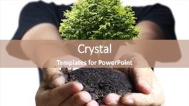  Presentation with global warming - Cool new PPT theme with trees reduce global warming backdrop and a coral colored foreground