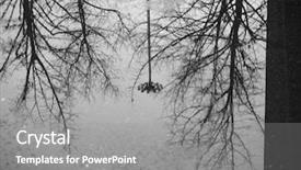  Presentation with tree sky trees green - Colorful PPT theme enhanced with trees reflected in a puddle backdrop and a gray colored foreground