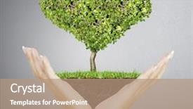  Presentation with tree roots - Presentation theme having cute hipster woman sitting on the meadow looking at camera positive human emotion facial expression body language concept of funny girl dressed in a gray t-shirt and a shirt in a red cage background and a coral colored foreground.