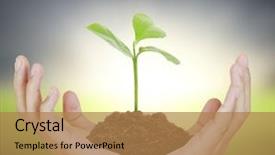  Presentation with plant roots - PPT theme having trees roots - man holding plant background and a coral colored foreground