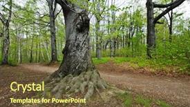  Presentation with tree roots - Presentation theme having seductive natural brown haired model showing a green apple on white background background and a lemonade colored foreground