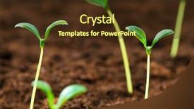  Presentation with green-life - Slides enhanced with seedling illustrating concept of new background and a wine colored foreground