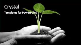  Presentation with soil - PPT theme enhanced with male sfertilization - hands holding sapling in soil background and a black colored foreground