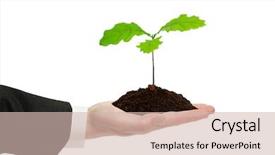  Presentation with oak - Cool new presentation theme with sapling hands - small sprout of oak backdrop and a soft green colored foreground