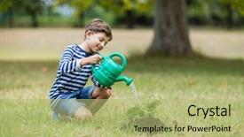  Presentation with young plant - Theme enhanced with water trees - smiling boy watering a young background and a mint green colored foreground