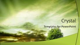  Presentation with oak tree - Slides enhanced with trees sky green - oak tree in a field background and a soft green colored foreground