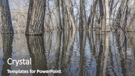  Presentation with water farming almond trees - Beautiful presentation featuring trees submerged in lake water backdrop and a dark gray colored foreground