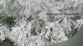  Presentation with mountain snow - Beautiful PPT layouts featuring trees-under-the-snow backdrop and a light gray colored foreground
