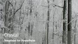  Presentation with mountain snow - Cool new slides with trees-under-the-snow backdrop and a gray colored foreground