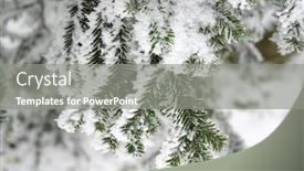  Presentation with snow mountain - Slide deck consisting of trees-under-the-snow background and a gray colored foreground