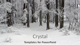  Presentation with snow mountain - Presentation theme having trees-under-the-snow background and a light gray colored foreground