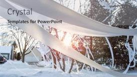  Presentation with residential - Audience pleasing presentation design consisting of trees-vandalized-with-toilet-paper backdrop and a light gray colored foreground