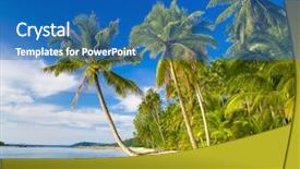  Presentation with coconut water - Cool new presentation design with trees water - coconut coast palm panorama backdrop and a teal colored foreground
