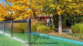  Presentation with leaves - Presentation theme featuring trees-with-colorful-autumnal-yellow background and a  colored foreground