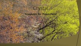  Presentation with bloom - Slide set having trees-with-colorful-spring-bloom background and a gold colored foreground