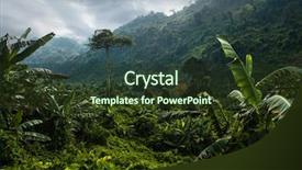  Presentation with jungle - Slides enhanced with trees with grass in tropical background and a  colored foreground