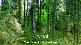  Presentation with moss - Colorful slides enhanced with trees-with-moss-in-midnight backdrop and a tawny brown colored foreground