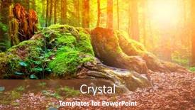  Presentation with moss - Audience pleasing slide deck consisting of trees-with-moss-in-midnight backdrop and a red colored foreground