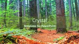  Presentation with moss - Cool new PPT layouts with trees-with-moss-in-midnight backdrop and a tawny brown colored foreground