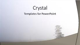  Presentation with yellowstone - PPT layouts featuring trees without leaves between fog yellowstone national park united states background and a sky blue colored foreground