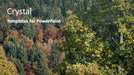  Presentation with woodland - Audience pleasing PPT theme consisting of trees-woodland-forest-rural-countryside backdrop and a dark gray colored foreground