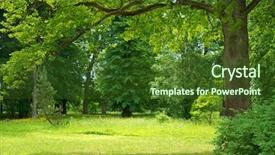  Presentation with beautiful green - Colorful theme enhanced with beautiful forest landscape backdrop and a tawny brown colored foreground