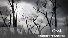  Presentation with starry night of vincent van gogh - Presentation having snow flock - eerie night background and a dark gray colored foreground