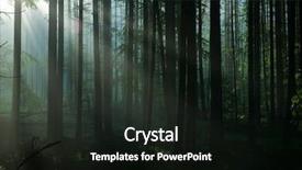  Presentation with fairy tale - PPT layouts consisting of fairy tale fir tree forest background and a wine colored foreground