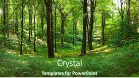  Presentation with woods - PPT theme having woods trees - green forest panorama background and a tawny brown colored foreground